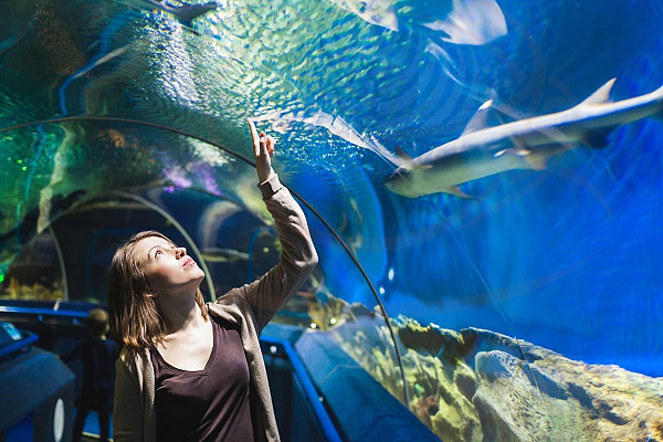 Океанариум Bioparc Acuario de Gijon изображение 1