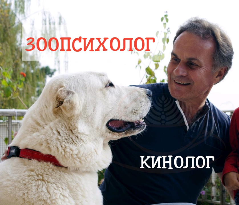 Зоопсихолог, этолог, animal behaviorist, специалист по коррекции поведения животных, дрессировщик (тренер) собак, кинолог. изображение 1